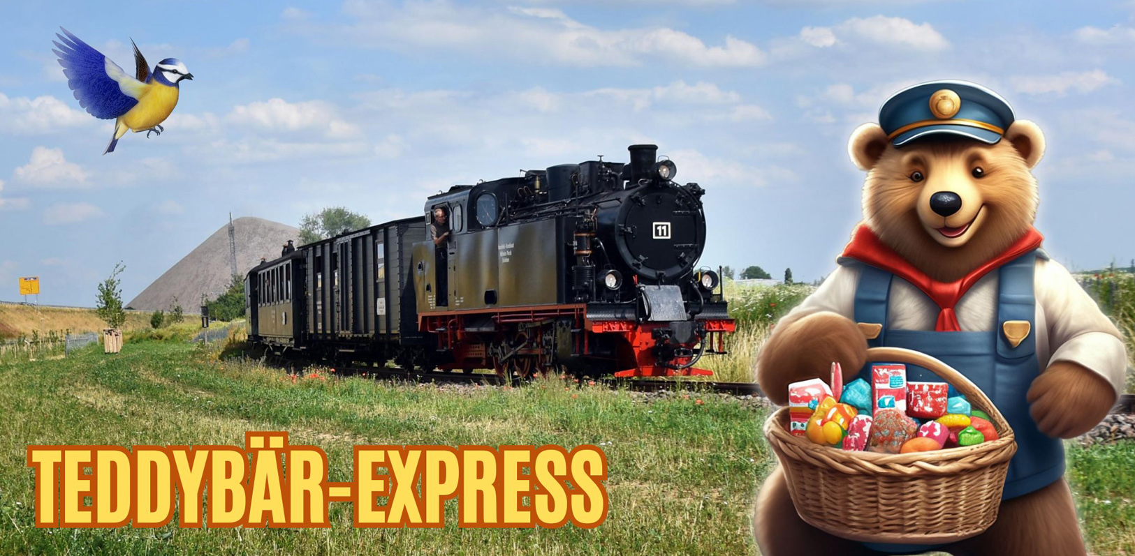Teddybär - Express